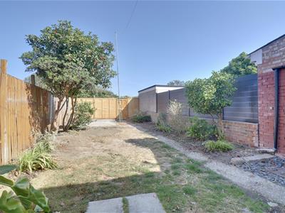 Picture 15